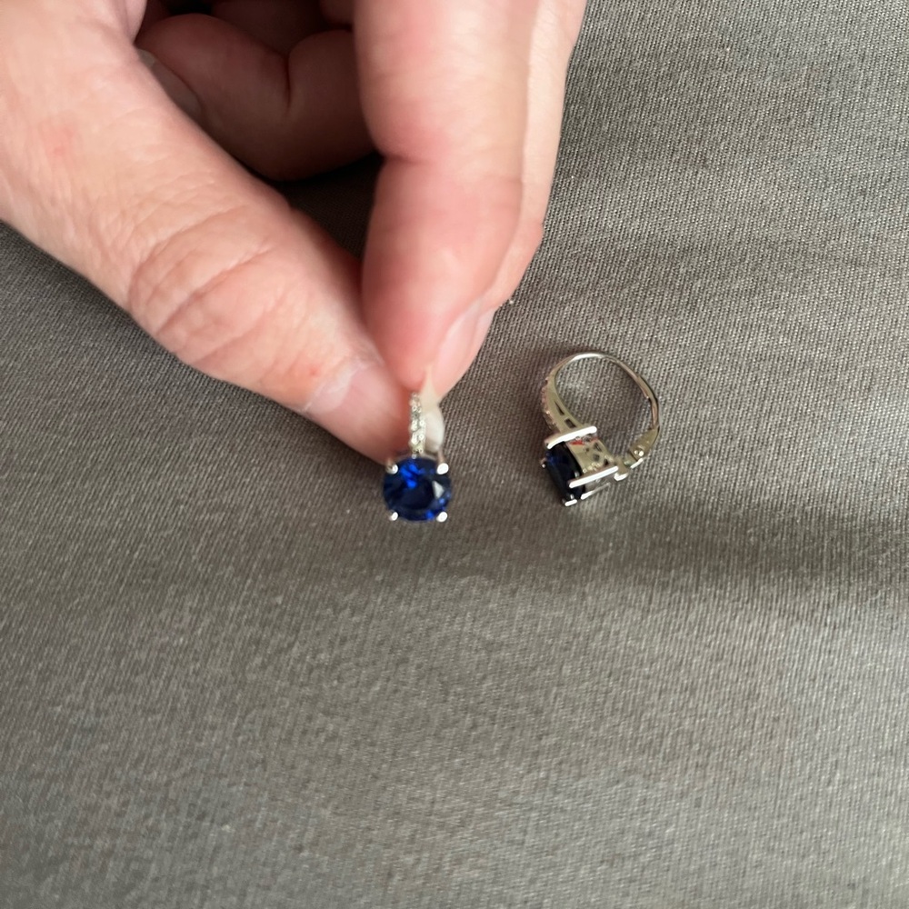 Blue and Silver Earrings with Elegant Design
